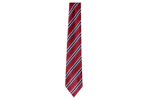 Striped Tie - Ziphem 