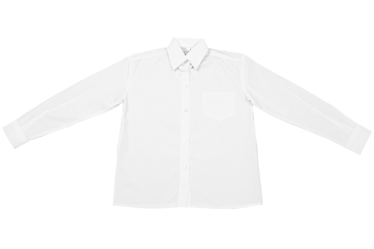 Longsleeve Raised Collar Blouse - White
