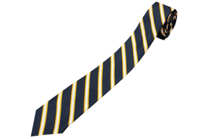 Striped Tie - D.P.H.S 