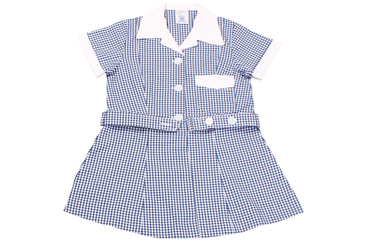 Check Dress - Berea West