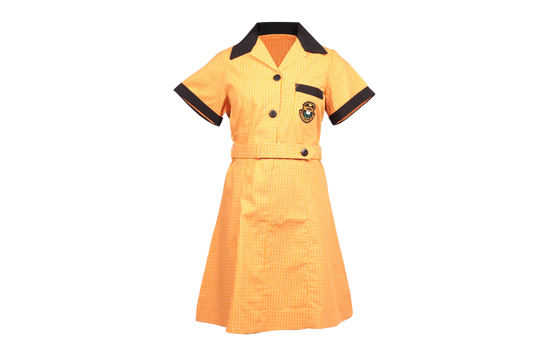 Check Dress Emb - Imbaliyethu