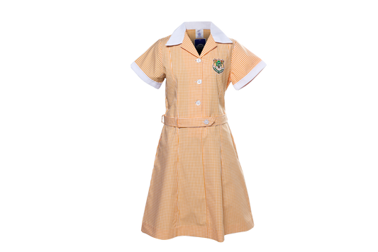 Check Dress Emb - Yellowwood Park