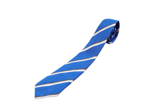 Striped Tie - Zeph Dlomo
