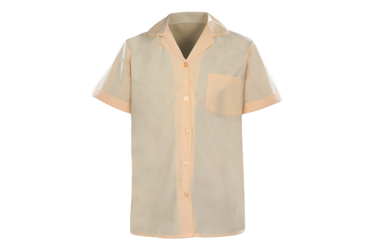 Shortsleeve Roundneck Blouse - Zweli