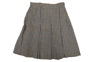 Pleated Skirt - Orissa Primary 