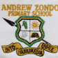Golf Shirt Emb/ Print - Andrew Zondo