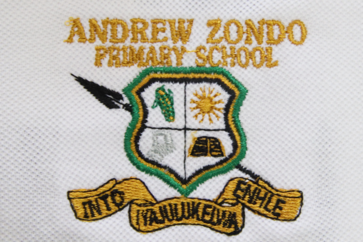 Golf Shirt Emb/ Print - Andrew Zondo
