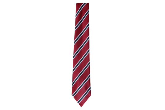 Striped Tie - Ziphem