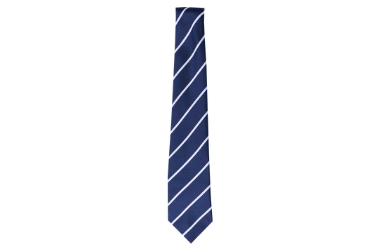 Striped Tie - Mgamule