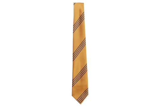 Striped Tie - Parkvale