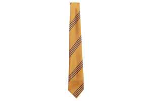 Striped Tie - Parkvale 