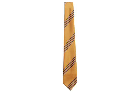 Striped Tie - Parkvale