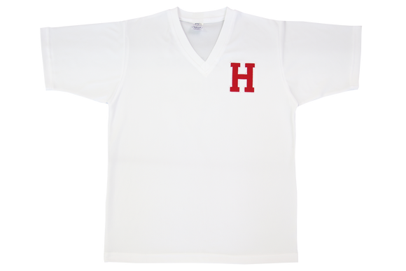 Golf Shirt Moisture Management Emb - Hamptons High Sports