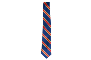 Striped Tie - Pinetown 
