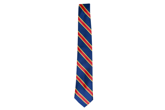 Striped Tie - Pinetown