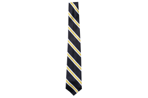 Striped Tie - Brettonwood 