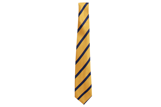 Striped Tie - Sastri