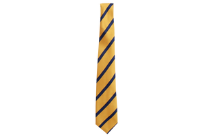 Striped Tie - Sastri 