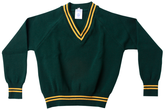 Longsleeve Striped Jersey - Lourdes Bottle/Gold