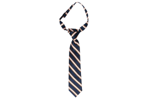 Striped Tie - D.P.H.S Velcro 