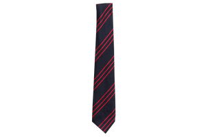 Striped Tie - Holy Family College 