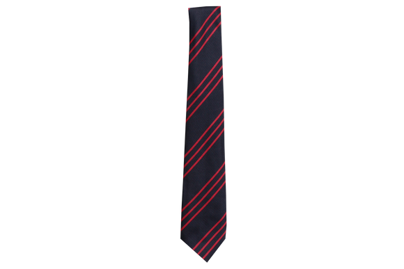 Striped Tie - Holy Family College